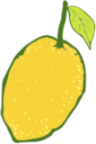 Kombucha Cultura Viva